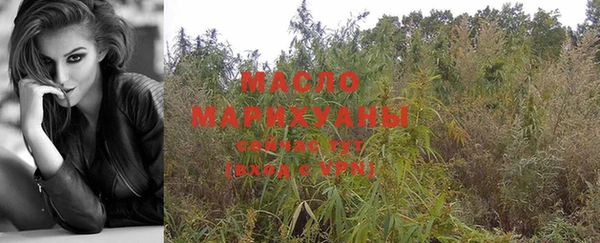 мдпв Туринск