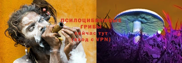 стафф Вязники